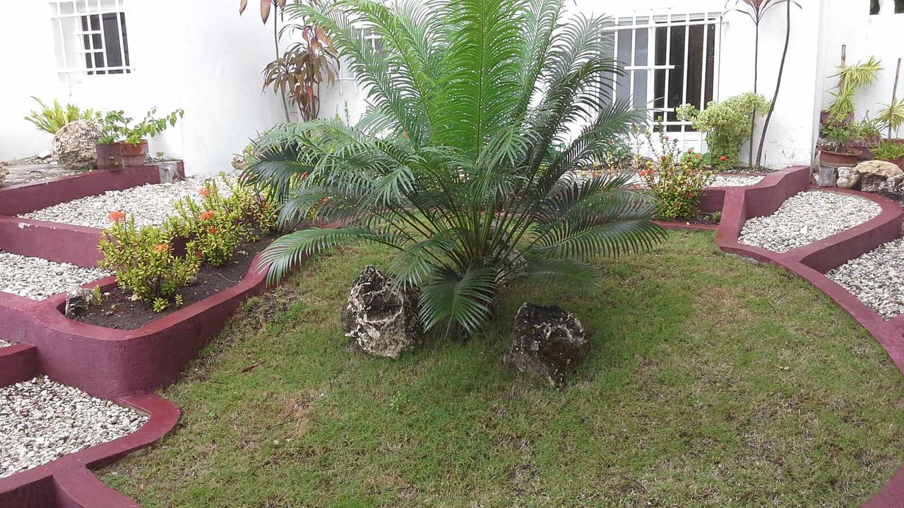 Hotel House Rapunzel Oslob Exterior foto